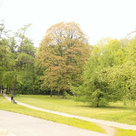 Double Sapphire Time *